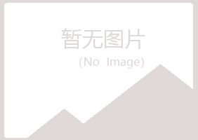 合川女孩会计有限公司